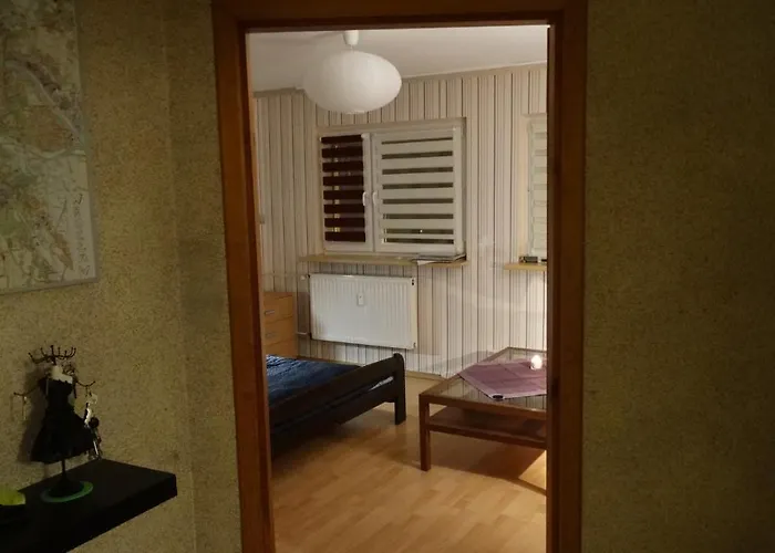 Wroclaw-traveler Oasis